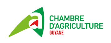 logo de la chambre d'agriculture-de Guyane